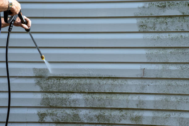 Best Garage Cleanout  in Elkhart, IN