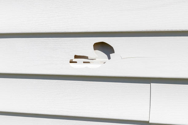 Best Property Management Cleanouts  in Elkhart, IN